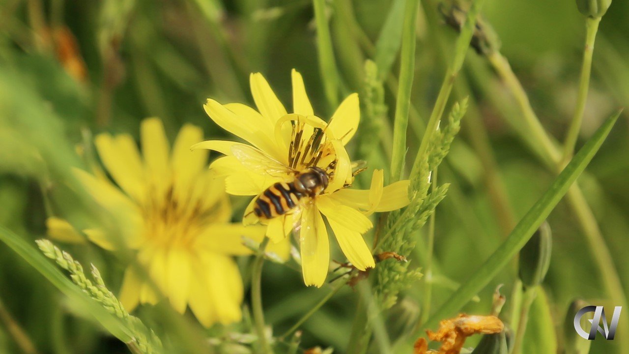 JJTYリクエスト 1点 まとめ商 京东h5st - 有文化的流氓