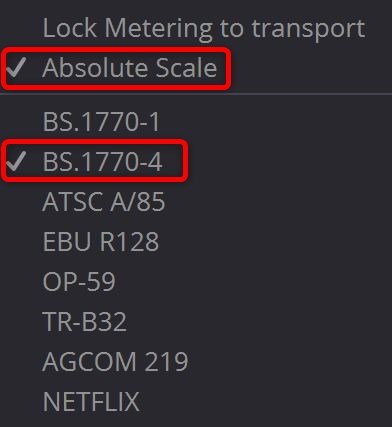 Loudness Meter Setting on Davinci Resolve